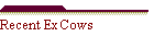 Recent Ex Cows